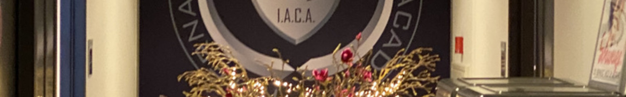 International Anti Crime Academy