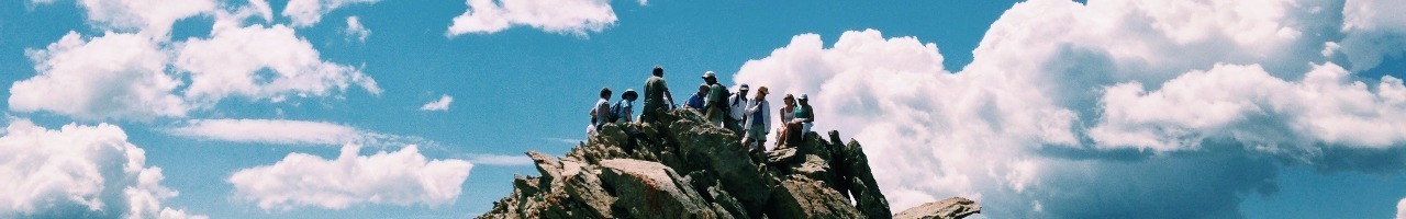 Veld organisatieontwikkeling