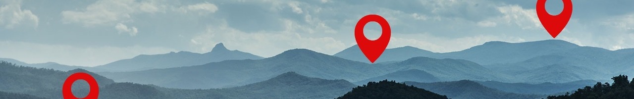 Data Leadership Education Services