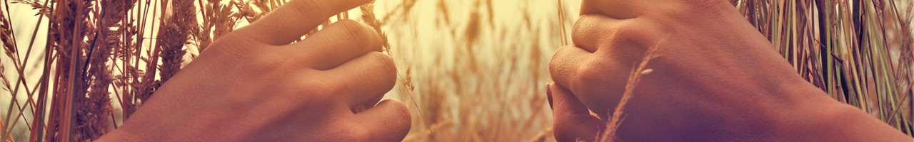 Hoogendijk Coachopleidingen