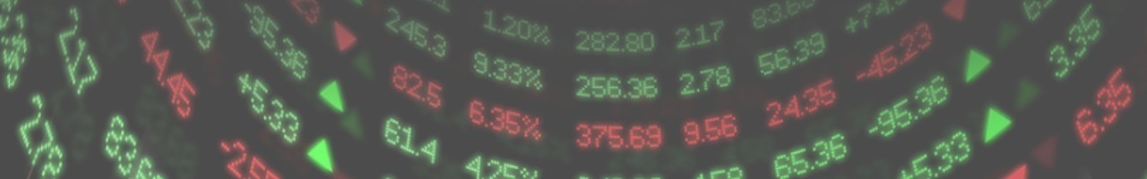 Remeijsen Consultancy