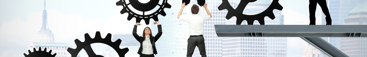 Gordian Logistic Experts