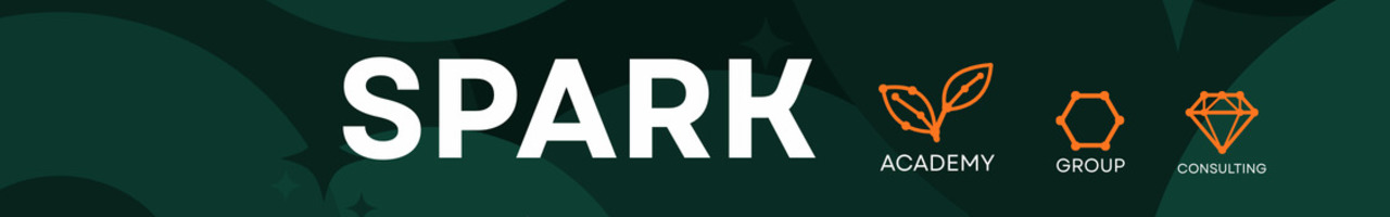 Spark Academy