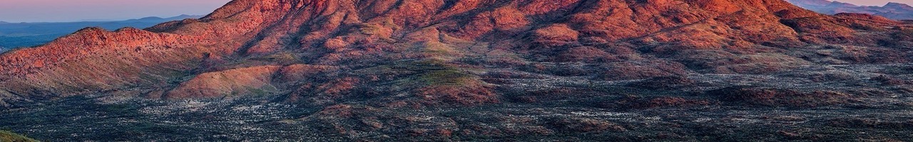 Traineroo Talent Development