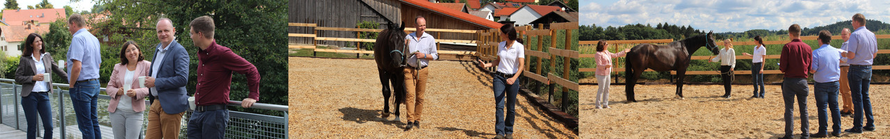 MEHR erreichen. Durch PFERDE!