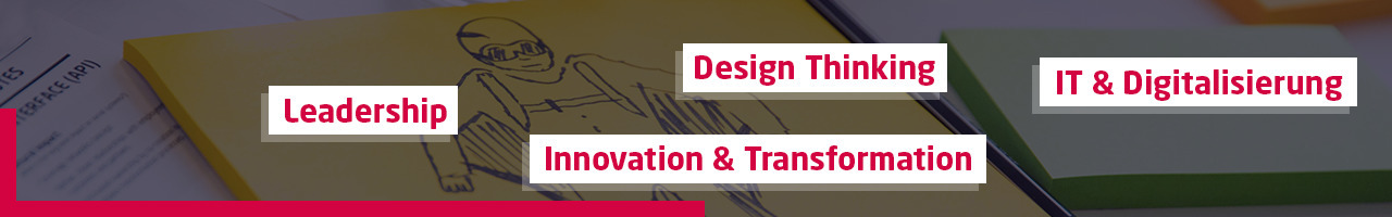 Hasso-Plattner-Institut Academy GmbH i. L.