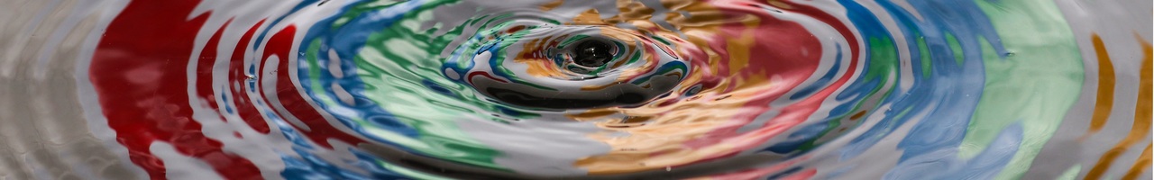 Impact Centre Erasmus