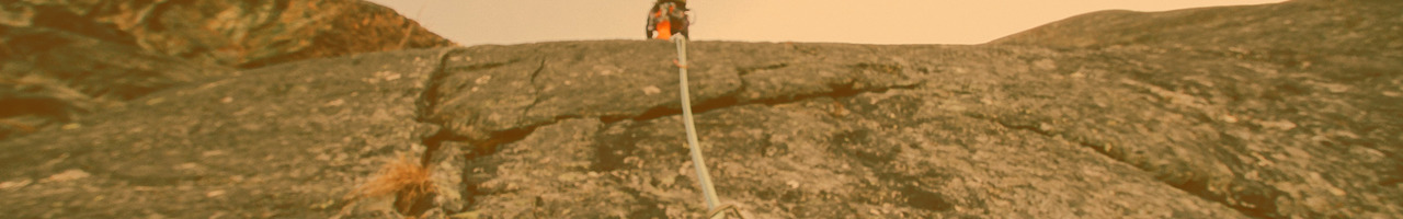 borisgloger consulting GmbH