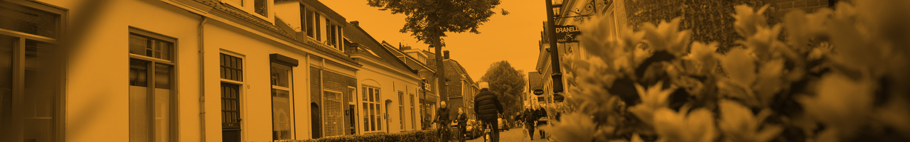 reNsultaat organisatieontwikkeling / Stephan Rens