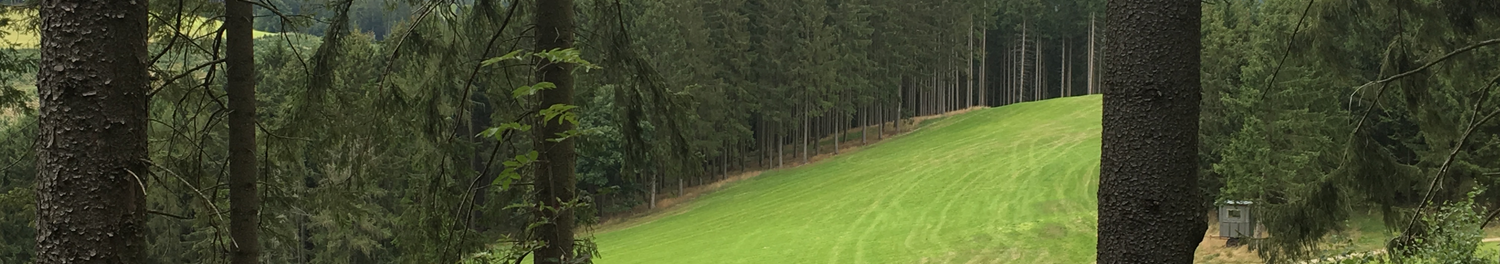 Jolanda van Millingen