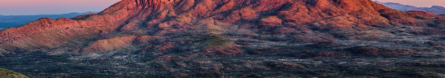 Jeroen van der Schenk