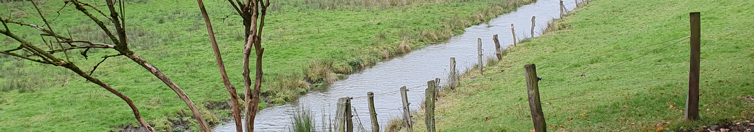 Hugo Harmsen - Geuvers